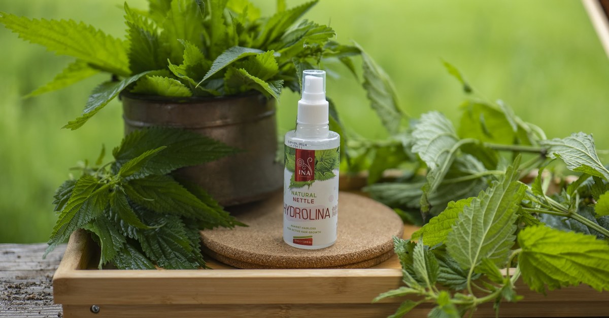 Hithër e egër Urtica dioica dhe Ujë Hithre të Egër Hydrolina