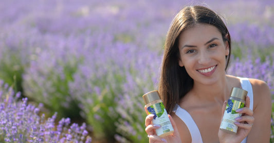 Livando Lavandula angustifolia dhe Hydrobiotic Livando dhe Mente në fushën me livando