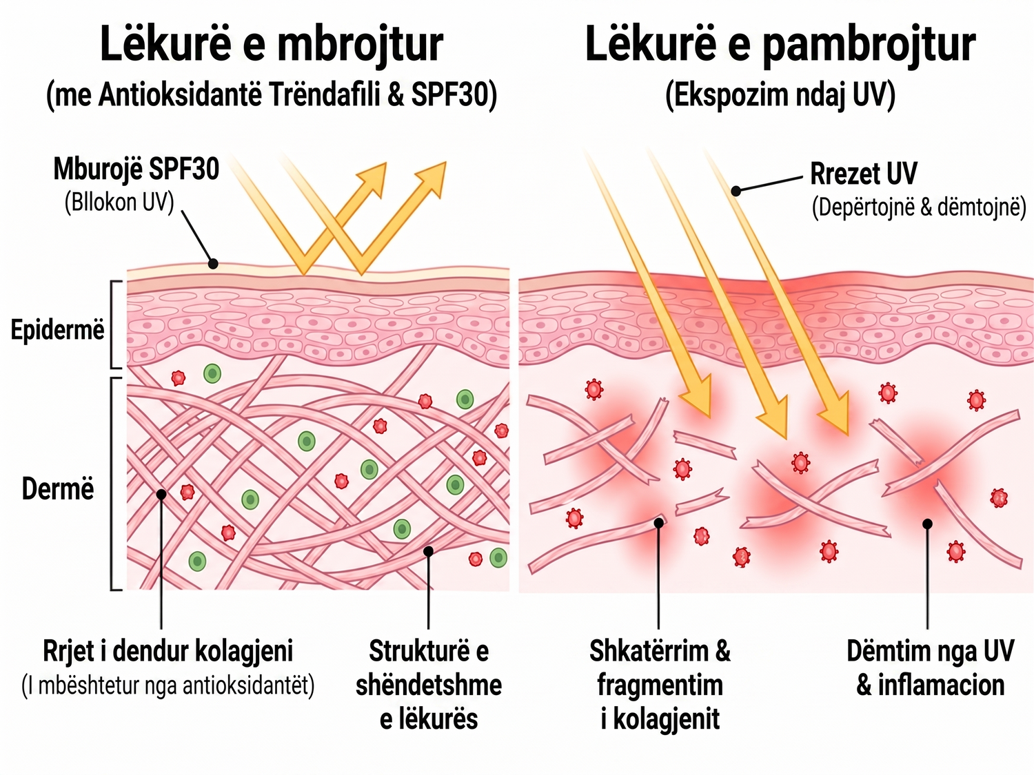 spf AL infographic